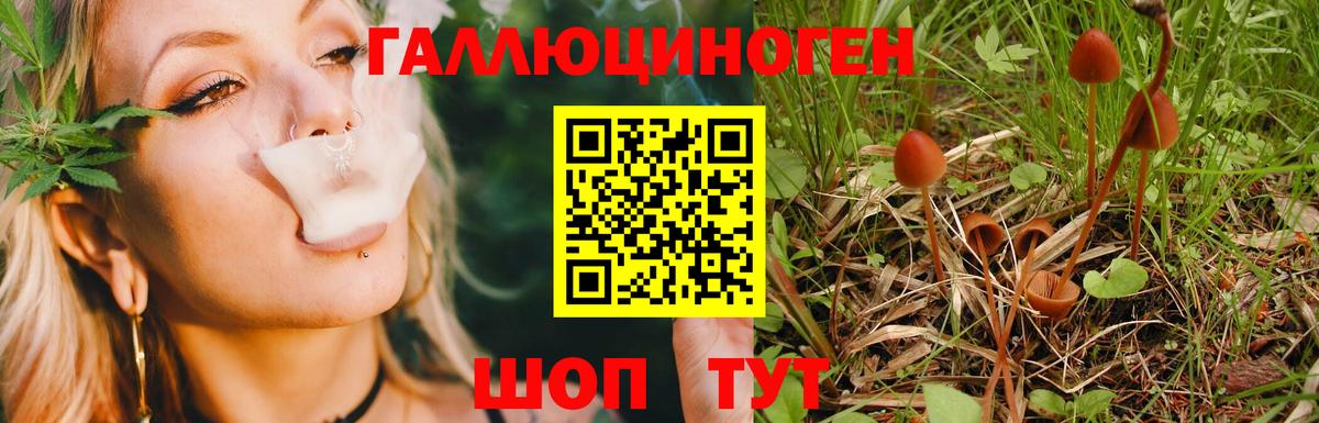 Псилоцибиновые грибы прущие грибы Когалым